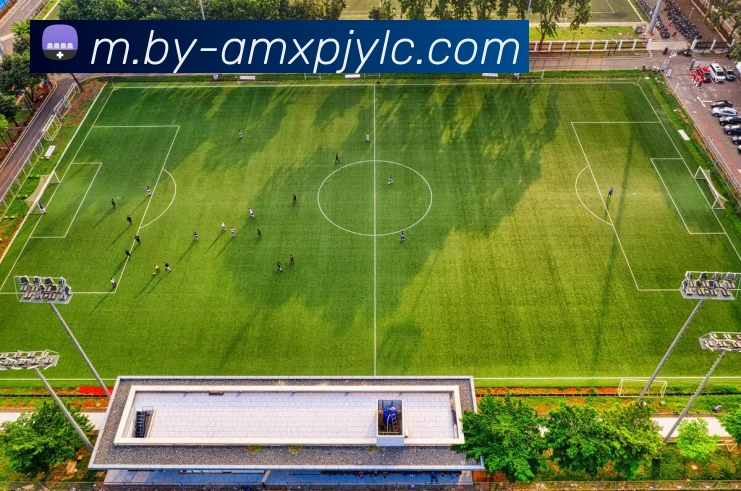 新葡京娱乐APP 封面图